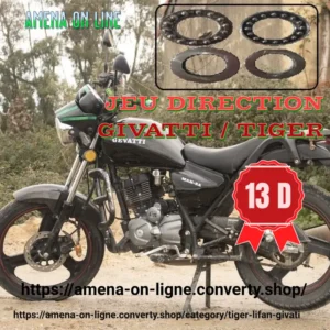 JEU DIRECTION GIVATTI TIGER